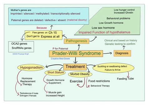 prada will|treatment for prader willi syndrome.